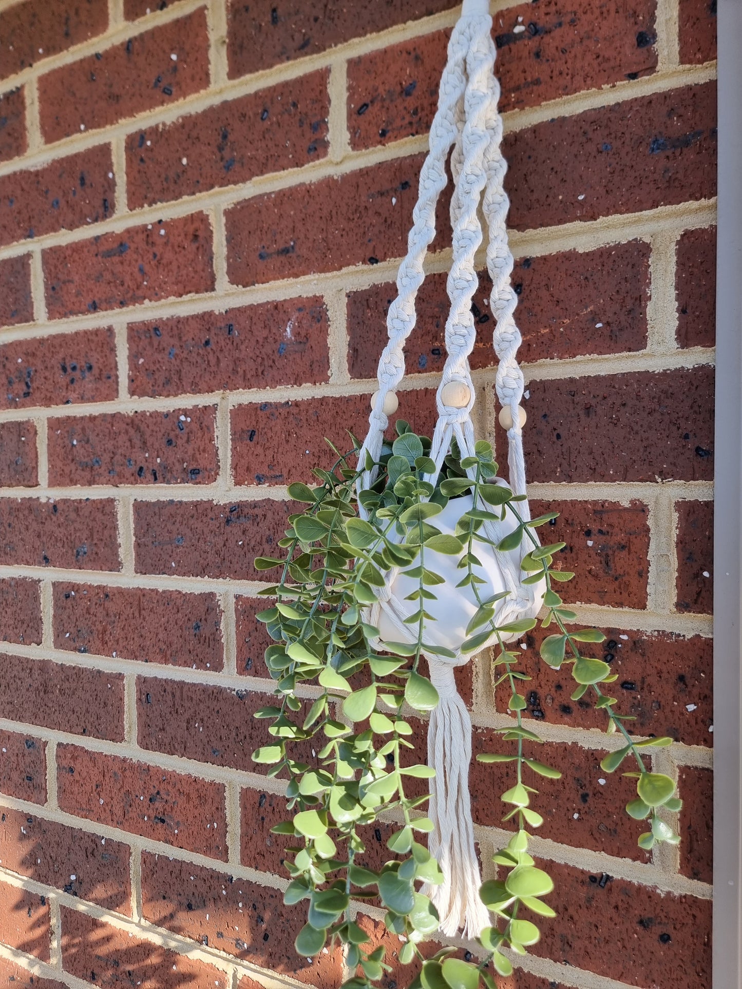 MACRAME PLANT HANGERS