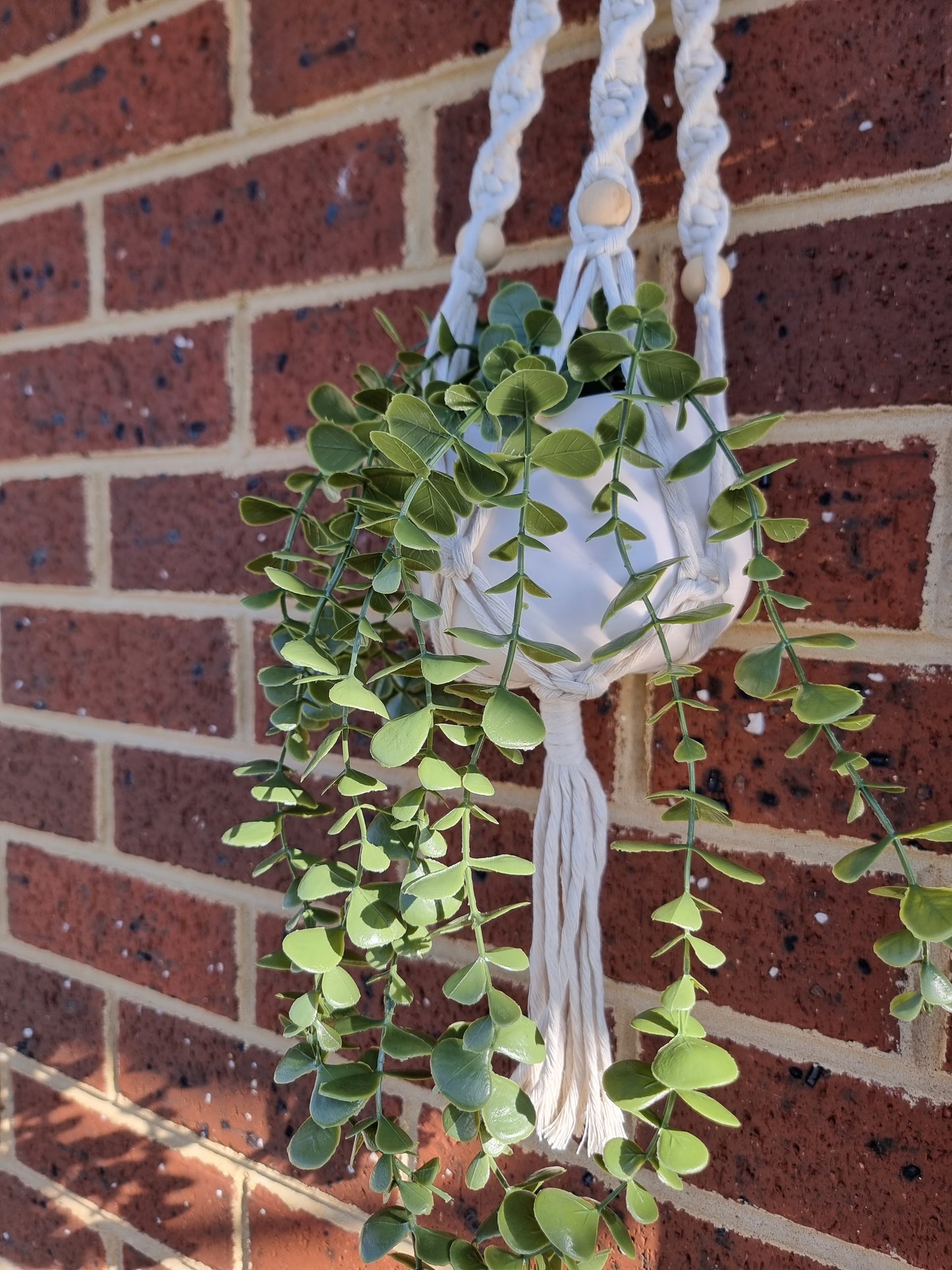 MACRAME PLANT HANGERS