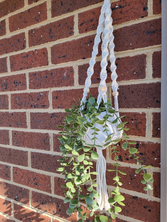 MACRAME PLANT HANGERS